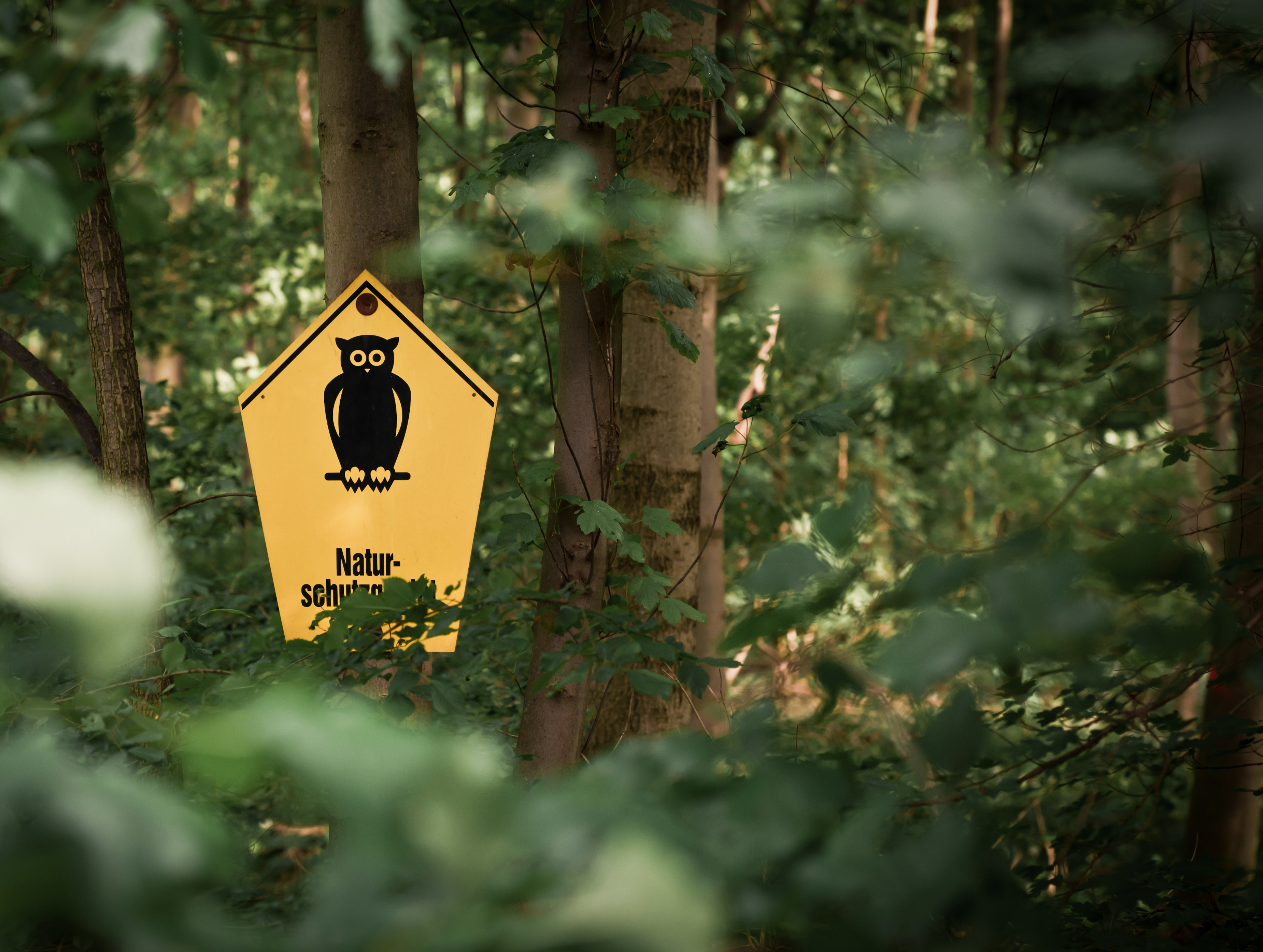 Naturschutzgebiet-Schild in einem Wald