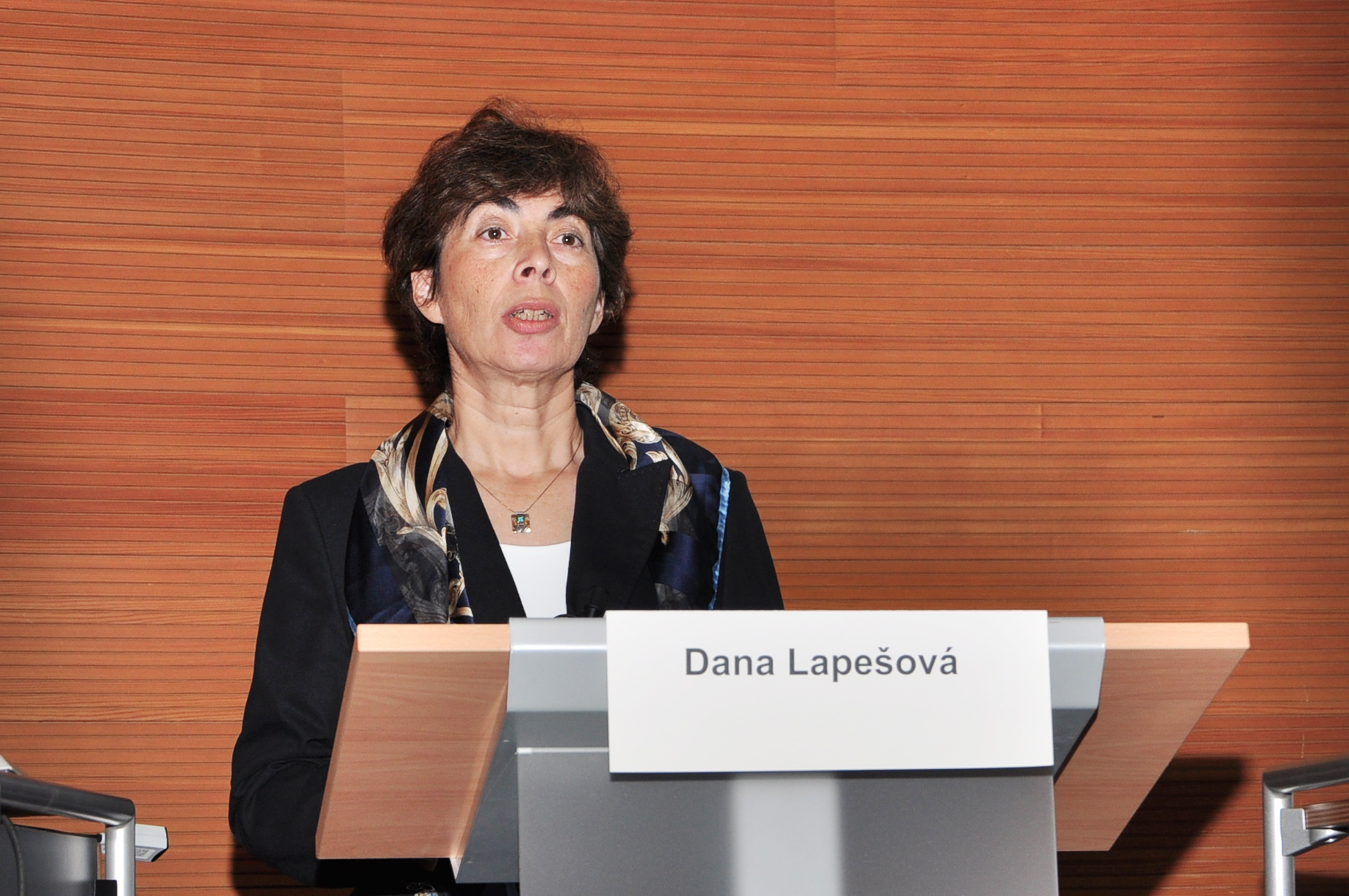 20 Years Focal Point Basel - Dana Lapesova