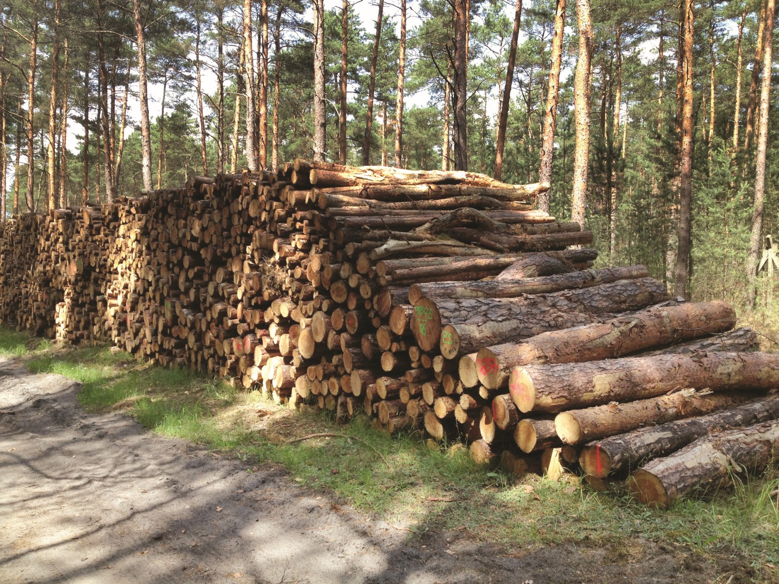 FW-I-4: Damaged timber – extent of random use