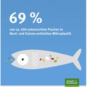 Plastik in Fischen