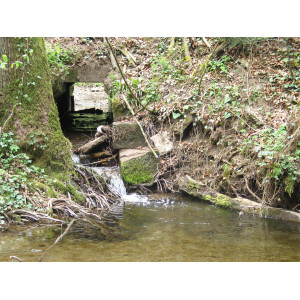 Naturpark "Schwäbisch-Fränkischer Wald"