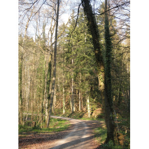 Wanderweg Bodenerlebnispfad