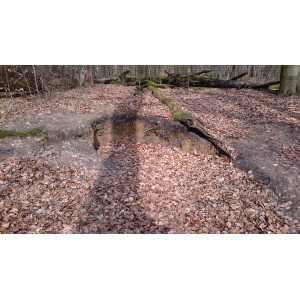 Grube im Wohldorfer Wald