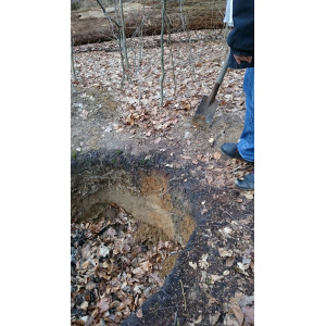 Begehbares Bodenprofil im Wohldorfer Wald