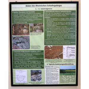 Informationstafel "Böden des Rheinischen Schiefergebirges"
