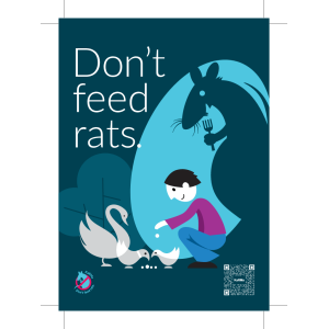 Don't feed rats