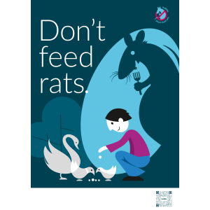 Don't feed rats