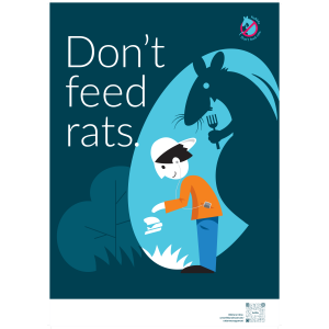 Don't feed rats