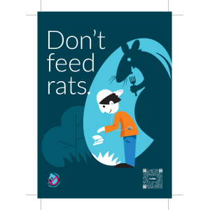 Don't feed rats