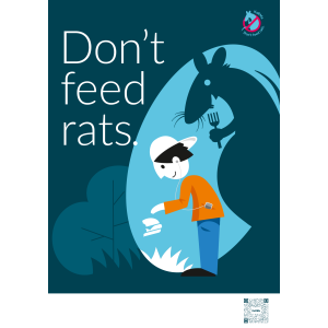 Don't feed rats