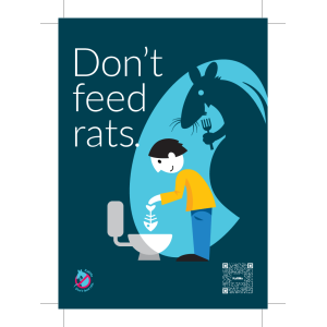 Don't feed rats