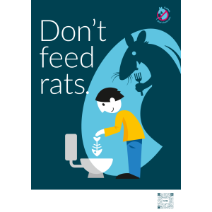 Don't feed rats