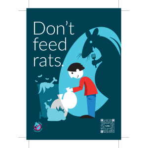 Don't feed rats