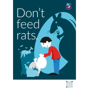 Don't feed rats