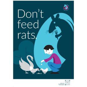 Don't feed rats