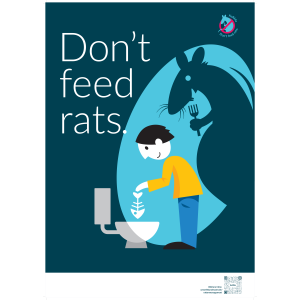 Don't feed rats