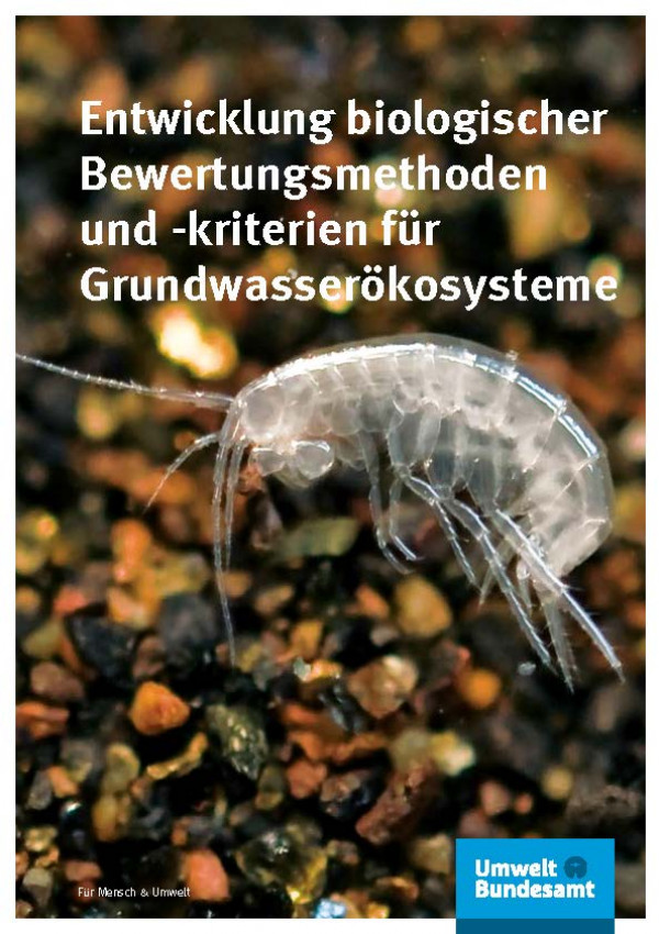 Das Titelbild der Publikation "Entwicklung biologischer Bewertungsmethoden und -kriterien für Grundwasserökosysteme" zeigt einen Höhlenflohkrebs.