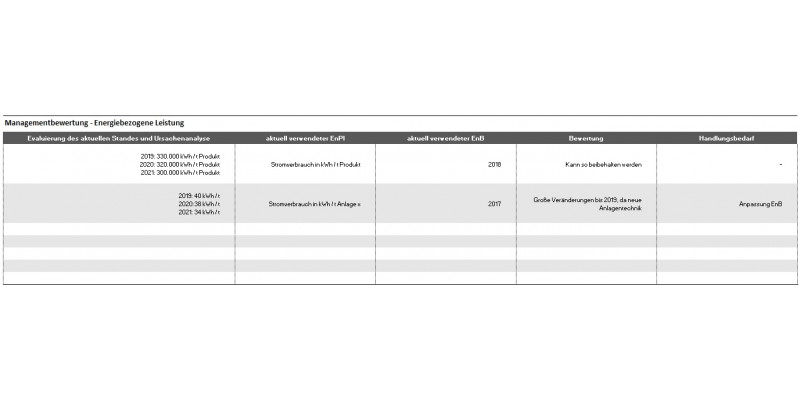 Grafik Element 12 - Managementbewertung: Energiebezogene Leistung