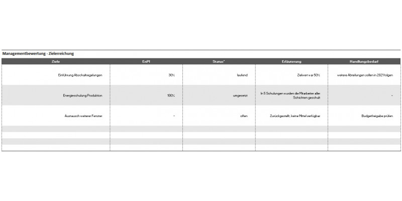 Grafik Element 12 - Managementbewertung: Zielerreichung