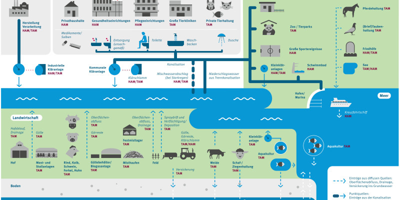 Schematische Darstellung der Eintragspfade von Arzneimittelrückständen und Vorkommen in der Umwelt