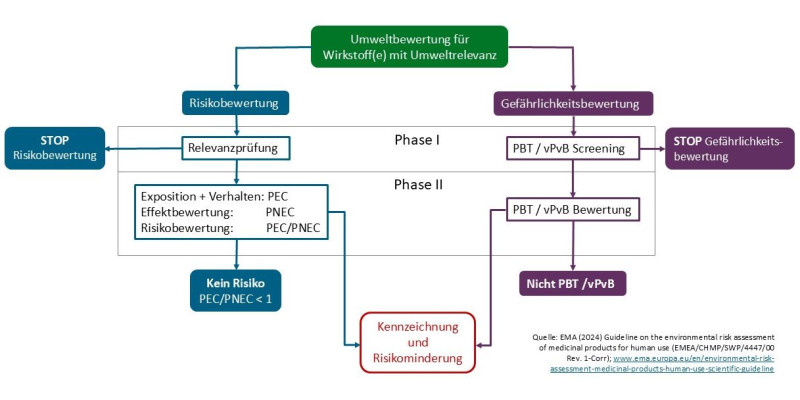 Ablaufschema einer Umweltverträglichkeitsprüfung für Humanarzneimittel (Stand 2024)