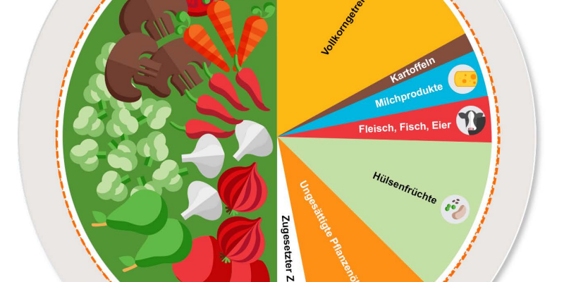 Kuchendiagramm, das zeigt, in welchen Mengen die einzelne Lebensmittel konsumiert werden sollten.