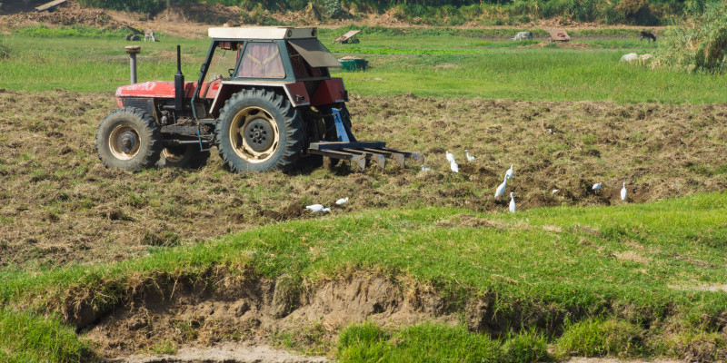 Foto: Im Vordergrund Fließgewässer mit deutlich erkennbarer Ufererosion. Direkt dahinter ein Traktor, der ein Feld bearbeitet.