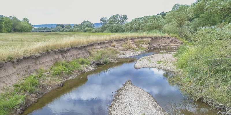 Foto: Seitlicher Blick auf ca. 2 m hohes Abbruchufer. Im Gewässerbett haben sich zwei Kiesbänke gebildet. Landseitig schließt Grünland unmittelbar an das Ufer der Fulda an.