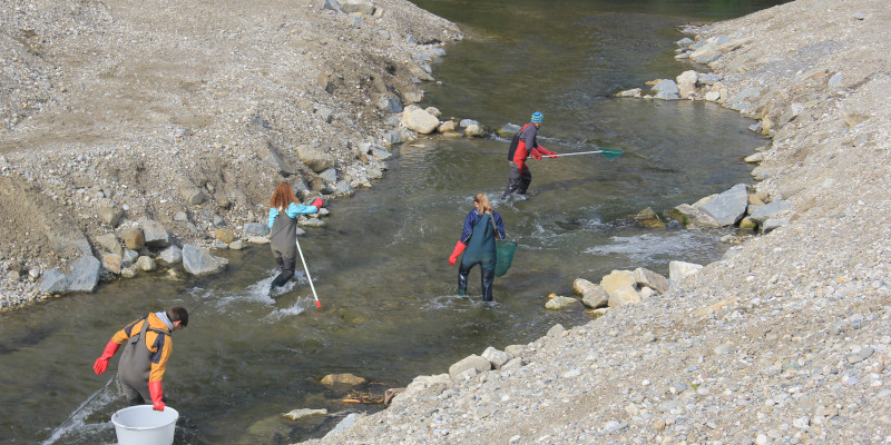 Foto: Der Fischpass Feldkirchen am Inn wird durch von vier Personen hinsichtlich der Fischpopulationen genauer untersucht.