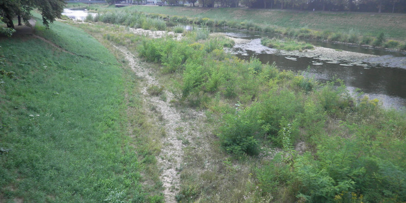 Foto: Die renaturierte Murg sechs Jahre nach der Renaturierung. Die eingebrachten Kiesbänke sind mit Büschen und Gräsern bewachsen.