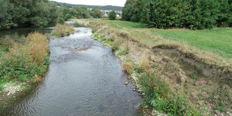 Foto: Ein naturnahes Ufer mit Ufererosion an der renaturierten Ruhr bei Oeventrop