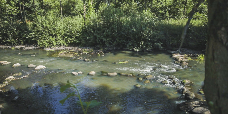 Foto: Niedrigwasserrinne in der Mitte der Wümme, die als Fischwanderhilfe dient. Als Sicherung der Niedrigwasserrinne wurden große Steine linienhaft in das Gewässer eingebracht.