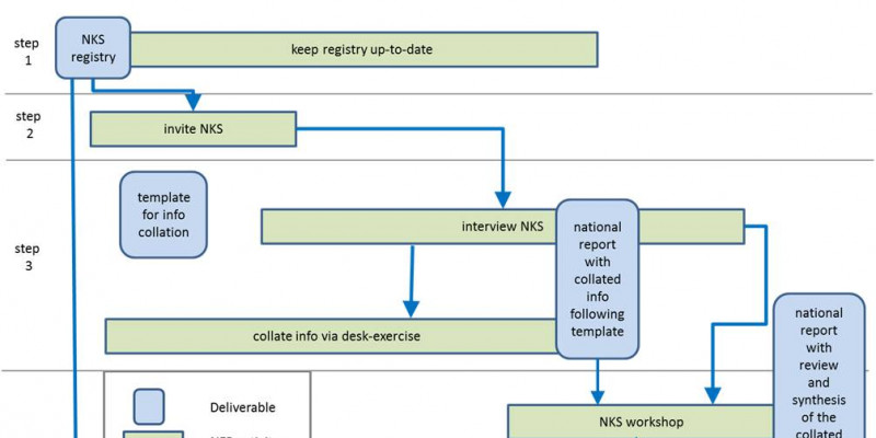 Zeitplan nationale Datenerhebung