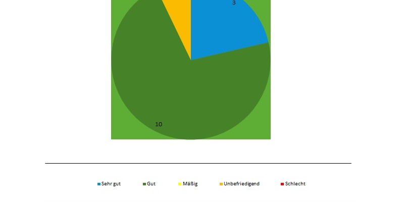 Tortendiagramm