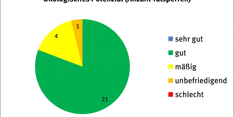 Ein Kreisdiagramm, welches den ökologischen Zustand der Talsperren in deutschland anzeigt