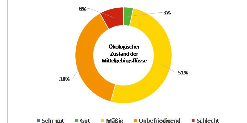 Kreisdiagramm über den ökologischen Zustand