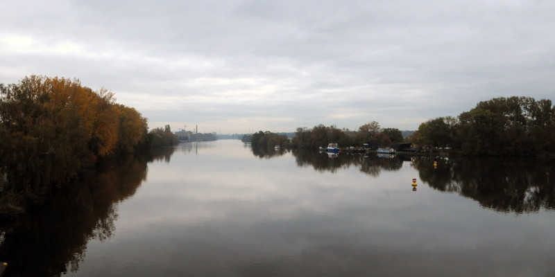 Blick auf den Main bei Eddersheim