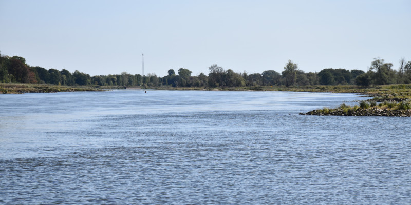 Ein Foto des Flusses Oder
