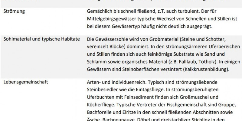 ein Steckbrief über die Eigenschaften des Mittelgebirgsbaches