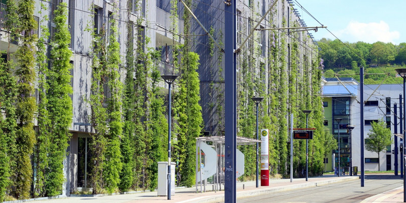 Eine begrünte Hauswand in der Stadt, vor der eine Straßenbahnhaltestelle steht.