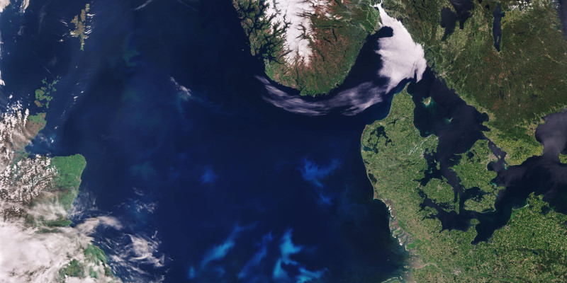 Die Aufnahme zeigt die blaugrüne Färbung der Algen in der Nordsee.