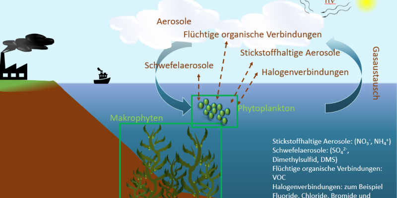 Vereinfachte Darstellung des Gasaustauschs von Aerosolen über der Meeresoberfläche.