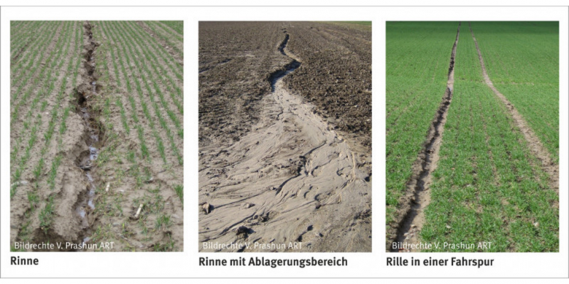 Linienhafte Erosionsformen sind sehr vielfältig und gut zu erfassen 