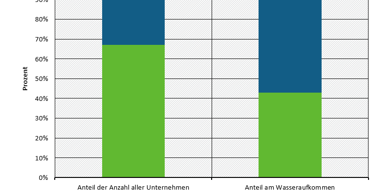 Auf einer Grafik wird die öffenlich-rechtliche und privatrechtliche Unternehmensformen der öffentlichen Wasserversorgung dargestellt