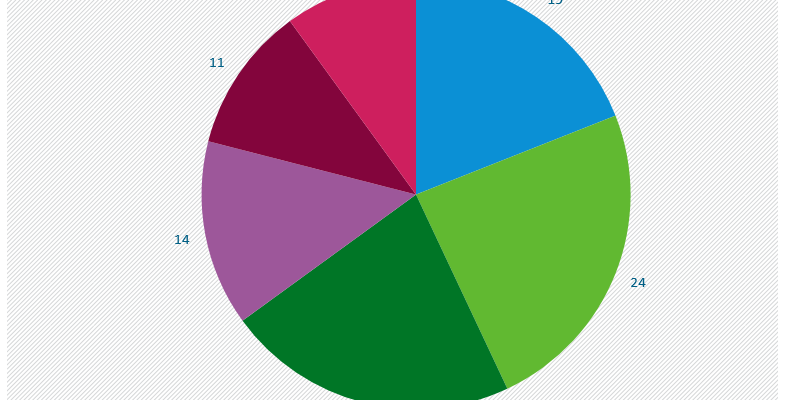 Auf der Grafik wird das Branchenbild der deutschen Wasserversorgung 2020 dargestellt