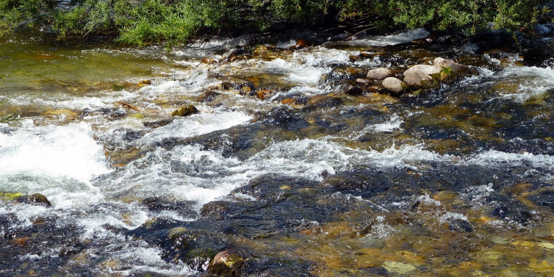 Stromschnelle in einem naturnahmen Mittelgebirgsfluss.