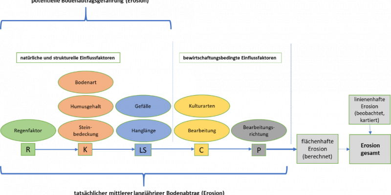 Die Allgemeine Bodenabtragsgleichung (ABAG) berücksichtigt die wichtigsten natürlichen und bewirtschaftungsbedingten Einflussfaktoren auf die Erosion (Bodenabtrag) durch Wasser 