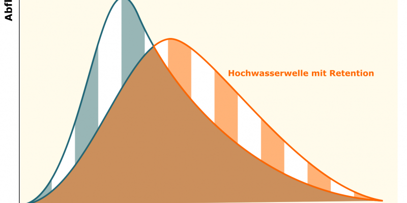 Abbildung 1: Prinzipielle Veränderung einer Hochwasserwelle durch Zwischenspeicherung. Wird Wasser in der Fläche zurückgehalten, weil der Fluss Platz zum ausufern hat, ist die Hochwasserwelle weniger steil. Die Abflussmenge bleibt jedoch konstant (schraffierte Bereiche sind gleich groß). Abbildung nach Landesamt für Umwelt Bayern.