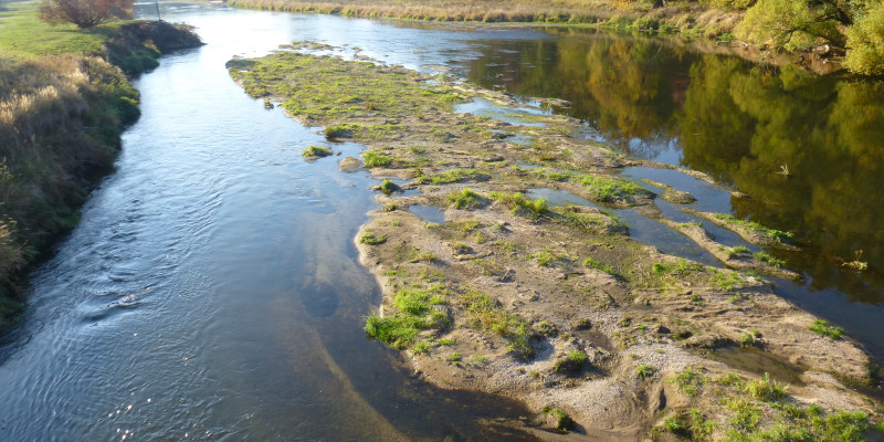 Niedrigwasser der Mulde bei Dessau