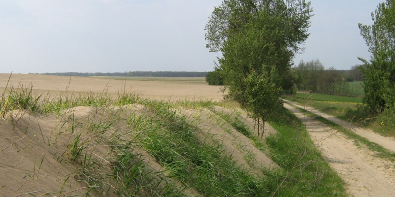 Soil displacement due to wind erosion near Worin in Brandenburg, Germany 